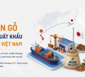 Nhật Bản Quy Định Báo Cáo Phát Thải Khí Nhà Kính Với Sản Xuất Và Cung Ứng Viên N ...