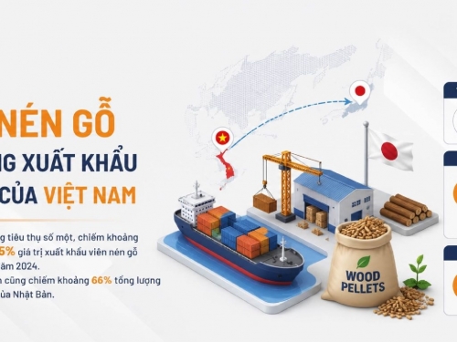 Nhật Bản Quy Định Báo Cáo Phát Thải Khí Nhà Kính Với Sản Xuất Và Cung Ứng Viên Nén Gỗ 