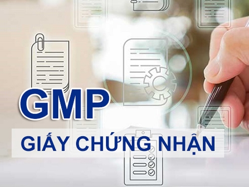 Chứng nhận GMP