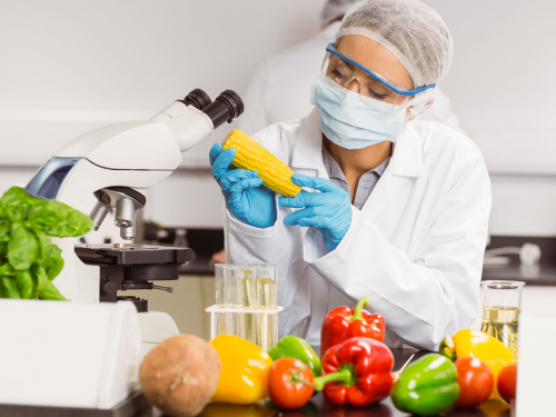 Khóa đào tạo HACCP 