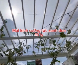 Mái kính cường lực xanh đen Quận 3