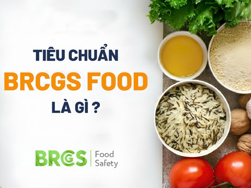 dao-tao-chung-nhan-brcifs-food