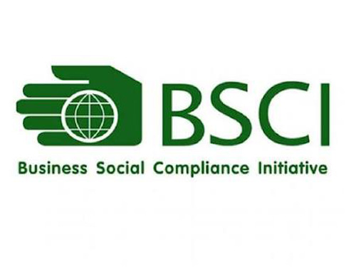 Đánh giá BSCI đạt thứ hạng cao - Bứt phá trên thị trường Toàn cầu